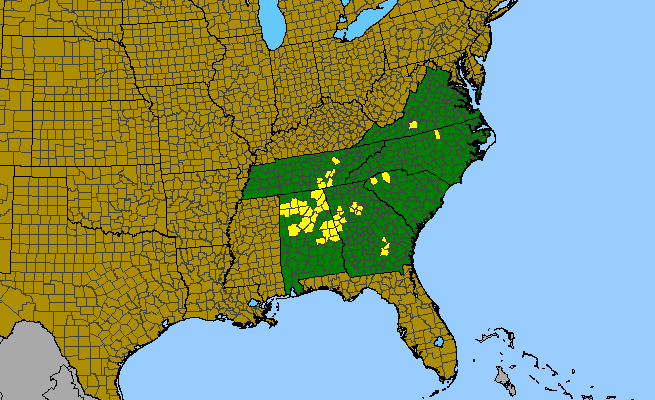 The range of Phemeranthus mengesii